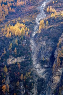 Yellow trees shine in autumn colours above an abysm. Steep slope is a large rock formation. Rhone