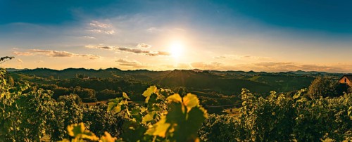 Sunset over vineyards, casting warm light on the landscape, Gamlitz, Austria