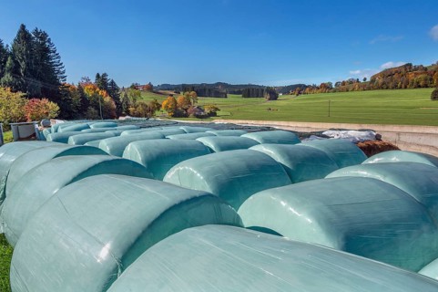 Blue sky, silage bales near the village of Masers near Kempten, Swabia, Bavaria, Germany