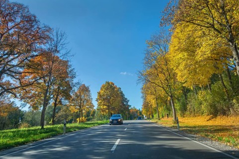 Country road and autumn-colored deciduous trees, Kempten, Swabia, Bavaria, Germany
