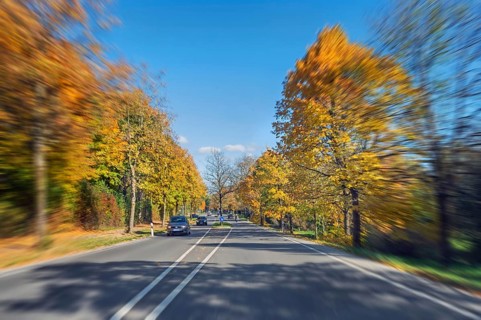Zoom effect, country road and autumn-colored deciduous trees, Kempten, Swabia, Bavaria, Germany