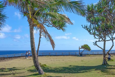 Two tropical palm trees (Cocos nucifera) and a pandanus tree (Vacoas) frame a wide grassy area at
