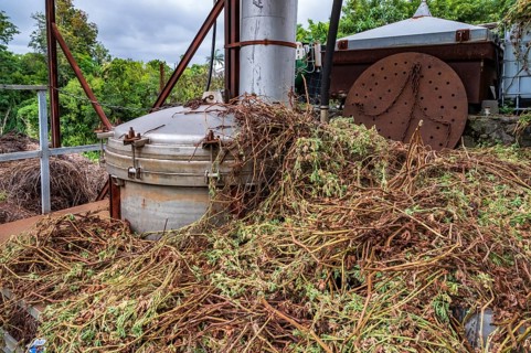 A silver-colored stainless steel distiller stands on a rust-brown frame surrounded by brown-green,