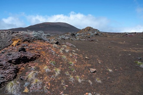 The barren volcanic landscape on the Route du Volcan shows the dark lava soil of the Plaine des
