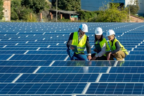 Group of diverse solar energy specialists wearing hard hats and safety vests inspecting