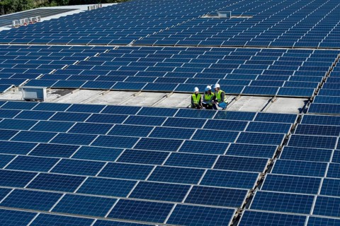 Group of renewable energy technicians reviewing plans and working on a vast array of photovoltaic