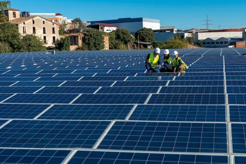 Engineers in hard hats and vests working on a vast solar panel field, reviewing data on a tablet,