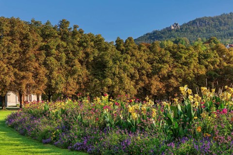 View from the spa park in Baden-Baden to the old castle in Hohenbaden, Black Forest,