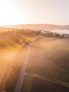 Fields and a village with a tower, wrapped in fog and illuminated by soft morning light, Calw