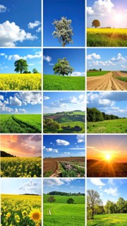 Collage of spring and summer landscapes, blooming flowers, green meadows and trees, hilly landscape