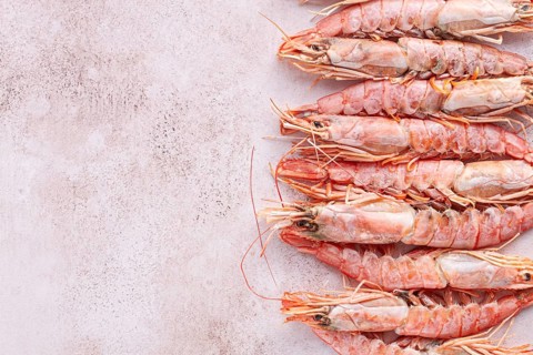Freshly frozen shrimps, Argentine shrimps, langoustines, neatly laid out on the surface, top view