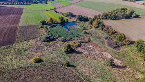 An extensive natural landscape shows a pond surrounded by colorful trees. The fields are green and