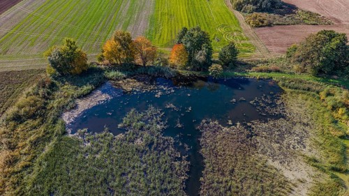 A quiet landscape in autumn shows a small pond surrounded by colorful trees and green meadows. The