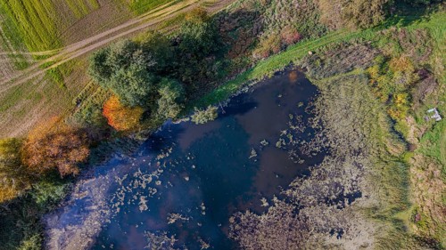 The pond is located in a rural area, surrounded by colorful foliage and green meadows. The sunlight