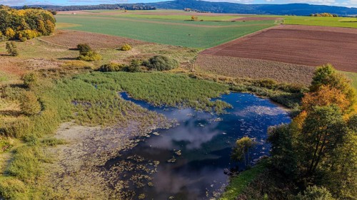 A quiet pond surrounded by meadows and trees. The colors of autumn are reflected while the sky is