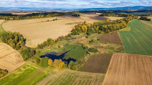 Colourful autumn colors characterize the rural scene with a small pond surrounded by meadows and