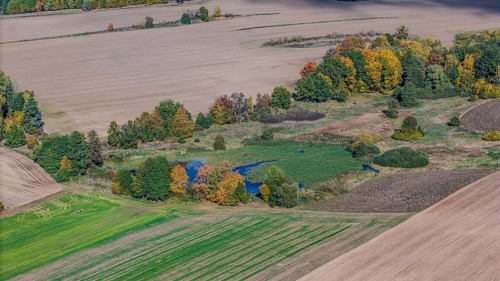 An extensive landscape shows glowing trees next to a small pond in autumn. Fields and meadows