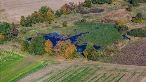 When the weather is clear, the picture shows an autumn landscape with a quiet pond. Colourful