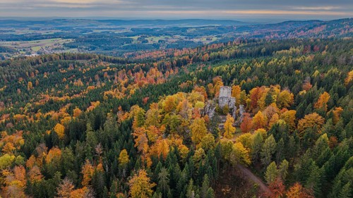 In the beautiful autumn landscape, the remains of the Weissenstein castle ruins stand in the middle