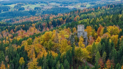 The ruins of Weissenstein Castle are at the center of a beautiful autumn landscape. The trees are