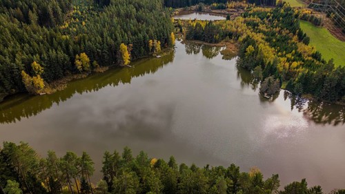 A calm lake is located in a landscape surrounded by trees in autumn. The colors of the leaves are