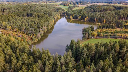 A picturesque forest lake is surrounded by tall, green trees. The autumn colors are reflected in