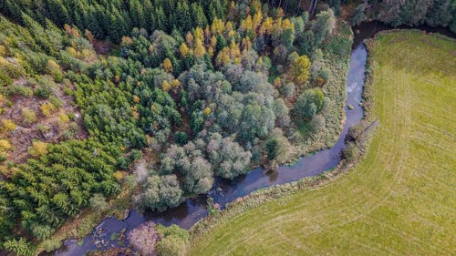 The river snakes through the countryside, surrounded by green trees and golden yellow leaves. The
