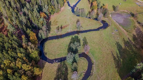 A clear river snakes through a green meadow, surrounded by colorful autumn trees. The picture shows
