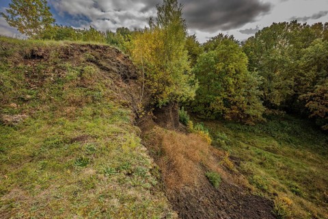 The gentle slope of an extinct volcano shows a variety of trees with colorful autumn leaves. The