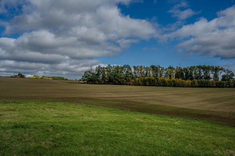 A vast landscape of sown fields stretches out under a partly cloudy sky. Trees in colorful autumn