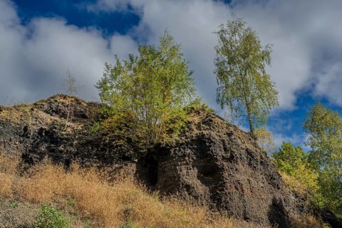 The rocky slope of an extinct volcano is covered with some trees and dry grass. The sky is cloudy