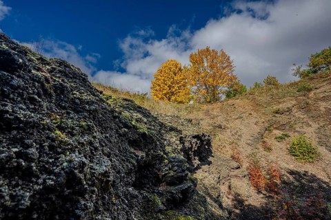 In a volcanic region in the Czech Republic, there are bright yellow trees on a slope. The rough