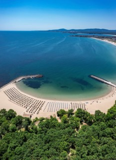 Scenic beach with lined umbrellas beside lush greenery and an expansive ocean. Aerial view to