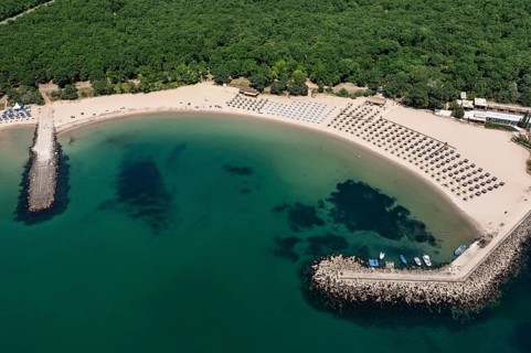 Beach lined with umbrellas and adjacent to lush greenery beside calm waters. Aerial view to