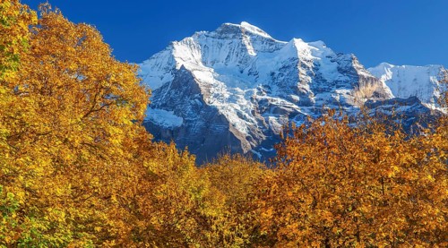 Autumn landscape in the hamlet of Sulwald with a view of the Jungfrau 4158m, Isenfluh,