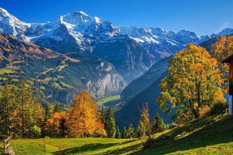 Autumn landscape in the hamlet of Sulwald with a view of Jungfrau 4158m and the Lauterbrunnen