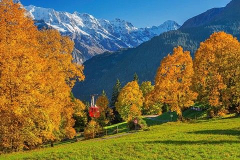 Autumn landscape with cable car to the hamlet of Sulwald, Isenfluh, Lauterbrunnental, Bernese