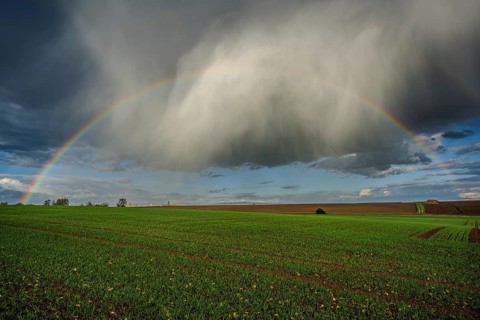 A bright rainbow stretches across a fresh, green field. Dark clouds pass by and create a dramatic