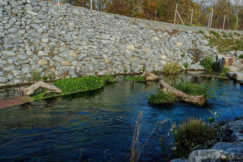 A calm stream with clear water flows through an area lined with stones. Green plants and pieces of