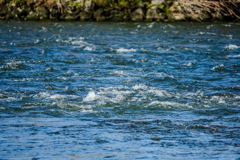 The clear water surface of a river shows soft waves that are created by the movement of the water.