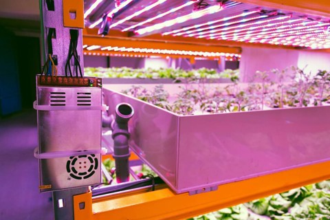 Electronics controling aquaponics system that combines fish aquaculture with hydroponics,