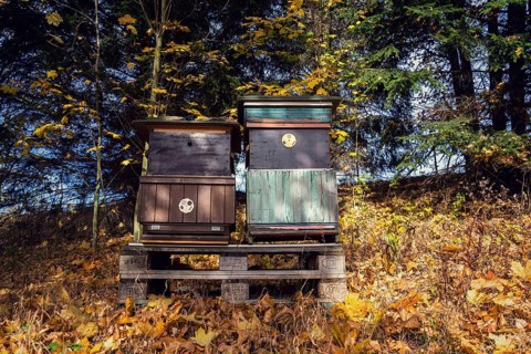 Colorful wooden beehives in beatiful autumn nature, sunny day Prague Czech republic