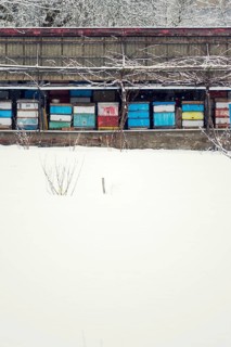 Vintage colorful wooden beehives on snowy winter freezing day Prague Czech republic