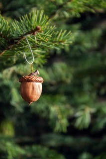 Natural Christmas decoration made from brown acorn hanging on green coniferous spruce tree Prague