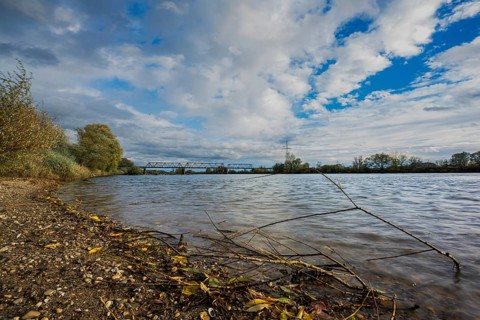 On a cloudy autumn day, the Danube flows calmly. There are branches and leaves on the shore, while