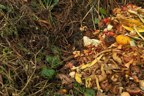 Compost pile made of organic food, leaves, vegetable and fruit Waste mix, Zero waste and Eco