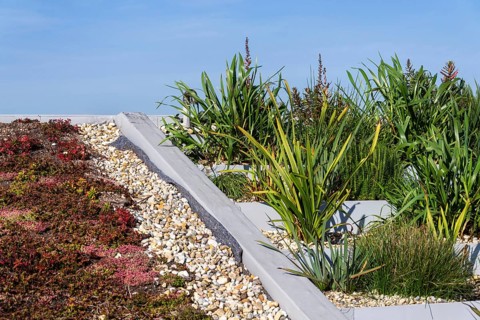 Root zone waste water sewage treatment plant on the extensive green ecological living sod roof