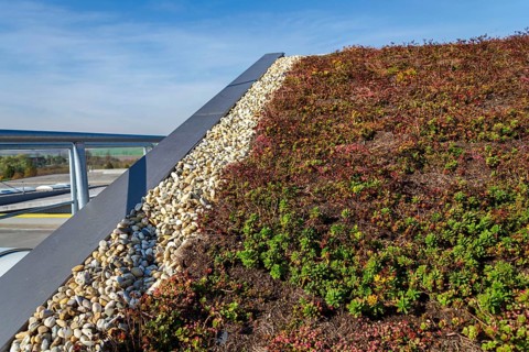 Extensive green ecological living sod roof with root zone waste water sewage treatment plant, sunny