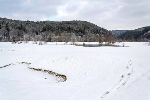 Snow on golf course in winter, forest background, copy space Karlovy Vary Czech republic