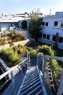 Green roof with root zone waste water treatment, exterior facade on modern building cooling with